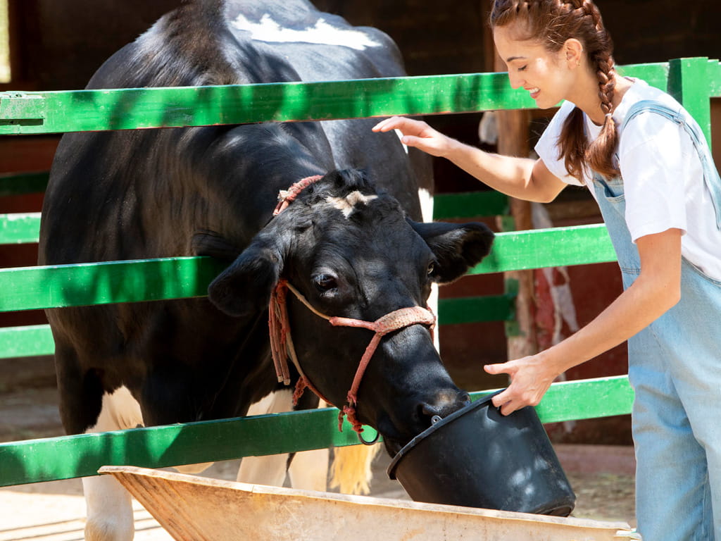 Inmersión en familia irlandesa para niños y adolescentes 15