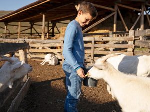 Inmersión en familia irlandesa para niños y adolescentes 18