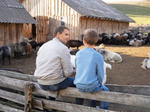 Inmersión en familia irlandesa para niños y adolescentes 2