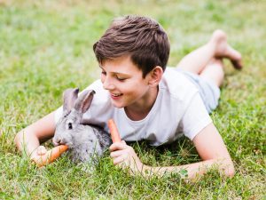 Inmersión en familia irlandesa para niños y adolescentes 20