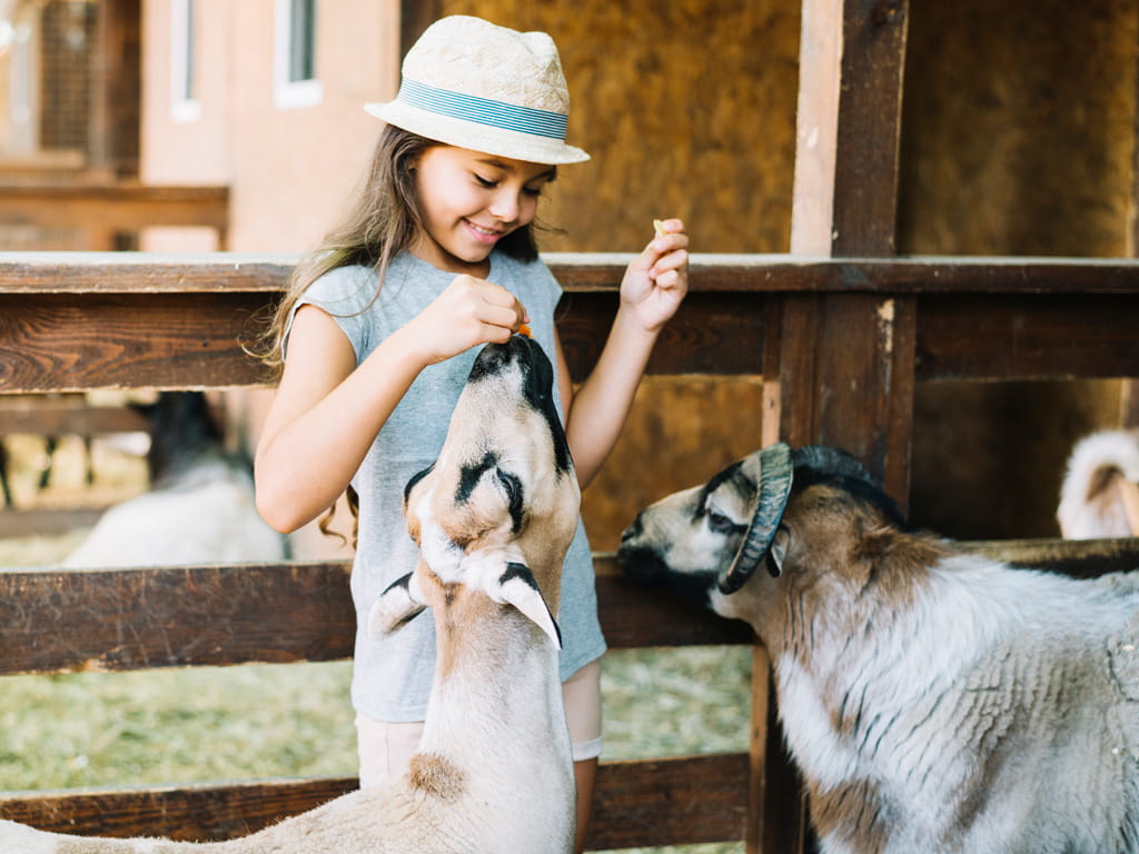 Inmersión en familia irlandesa para niños y adolescentes 4