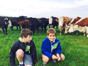 Inmersión en familia irlandesa para niños y adolescentes 8