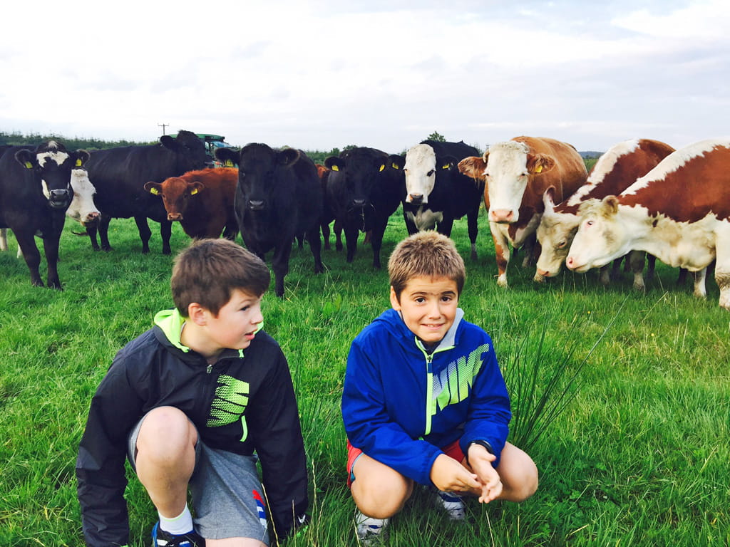 Inmersión en familia irlandesa para niños y adolescentes 8