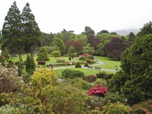 Curso de verano de inglés en Killarney 5