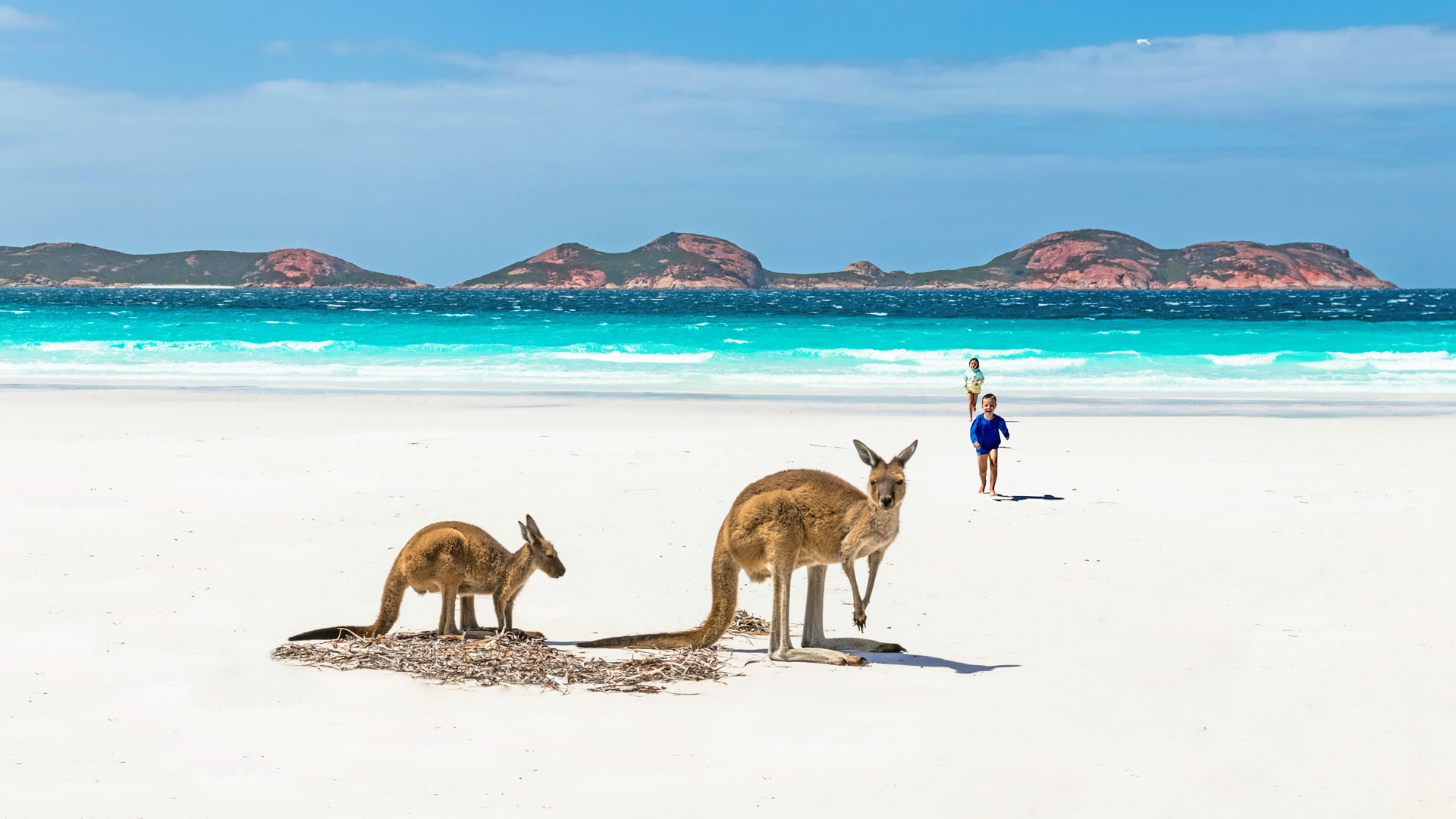 Cursos y campamentos de verano en Australia