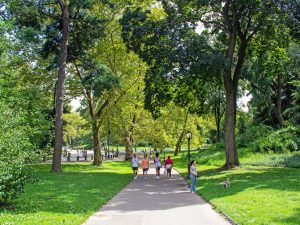 Campamento de verano en Nueva York para jóvenes 2