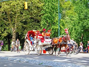 Campamento de verano en Nueva York para jóvenes 5