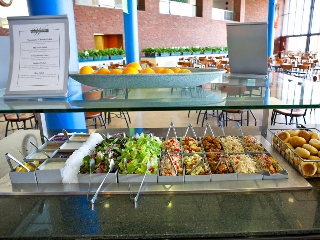 Campamento de verano en Nueva York para niños y adolescentes 17