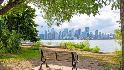 Curso de verano en Toronto para niños y adolescentes 2025