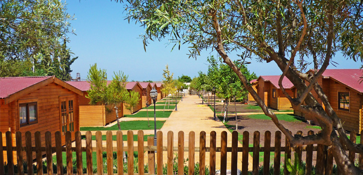 Campamento de verano de inglés en España de Top School